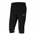 Nike Dri-FIT Academy 21 M CW6125-010 Pants