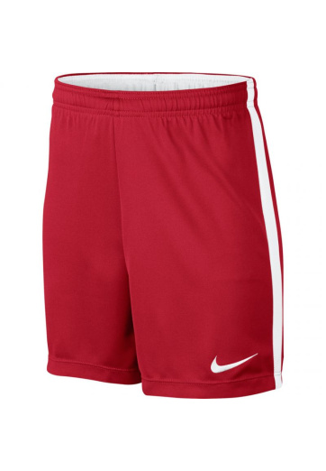 Nike Dry Academy JR 832901 657 shorts