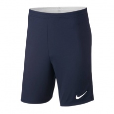 Nike Dry Academy 18 M 893691-451 shorts