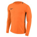 Goalkeeper jersey Nike Dry Park III LS M 894509-803 XL