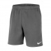Nike Park 20 Fleece Jr CW6932-071 shorts