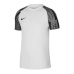 Nike Dri-Fit Academy SS M DH8031-104 T-shirt