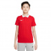 Nike Dri-FIT Park Jr CW6935-657 polo shirt