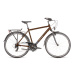Bicykel Dema AROSA 1 marron brown - blue M/19'