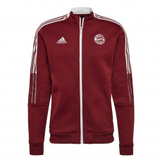 Jacket adidas FC Bayern Anthem Jacket M GR0676