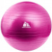 Meteor gym ball 55 cm with pump pink 31132
