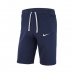 Nike FLC Team Club JR 19 AQ3142-451 shorts