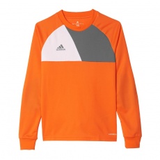 Adidas Assita 17 Jr AZ5402 sweatshirt