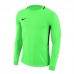 Goalkeeper jersey Nike Dry Park III LS M 894509-398