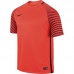 Goalkeeper jersey Nike Gardien M 725889-671