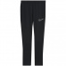 Nike Dri-FIT Academy Jr CW6124 010 pants