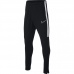 Nike B Dry Academy Junior AO0745-010 football pants