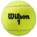 Wilson Roland Garros All Court tennis balls, 3 pcs WRT126400