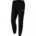 Nike Dri-FIT Academy 21 M CW6128 010 pants