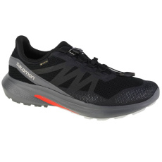 Running shoes Salomon Hypulse Gtx M 415959